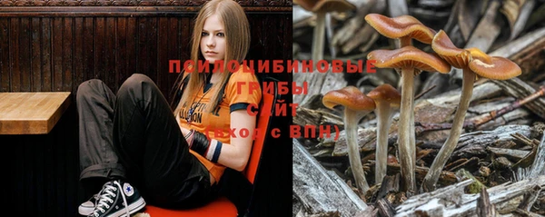 каннабис Балабаново
